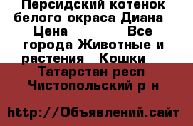 Персидский котенок белого окраса Диана › Цена ­ 40 000 - Все города Животные и растения » Кошки   . Татарстан респ.,Чистопольский р-н